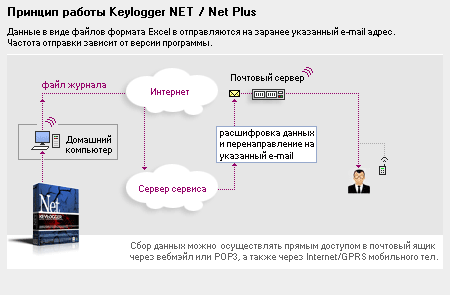  Net   